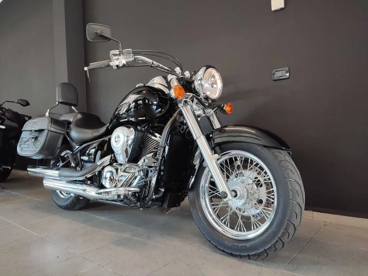Kawasaki Vulcan VN 900 Classic (2006 - 10) (4)