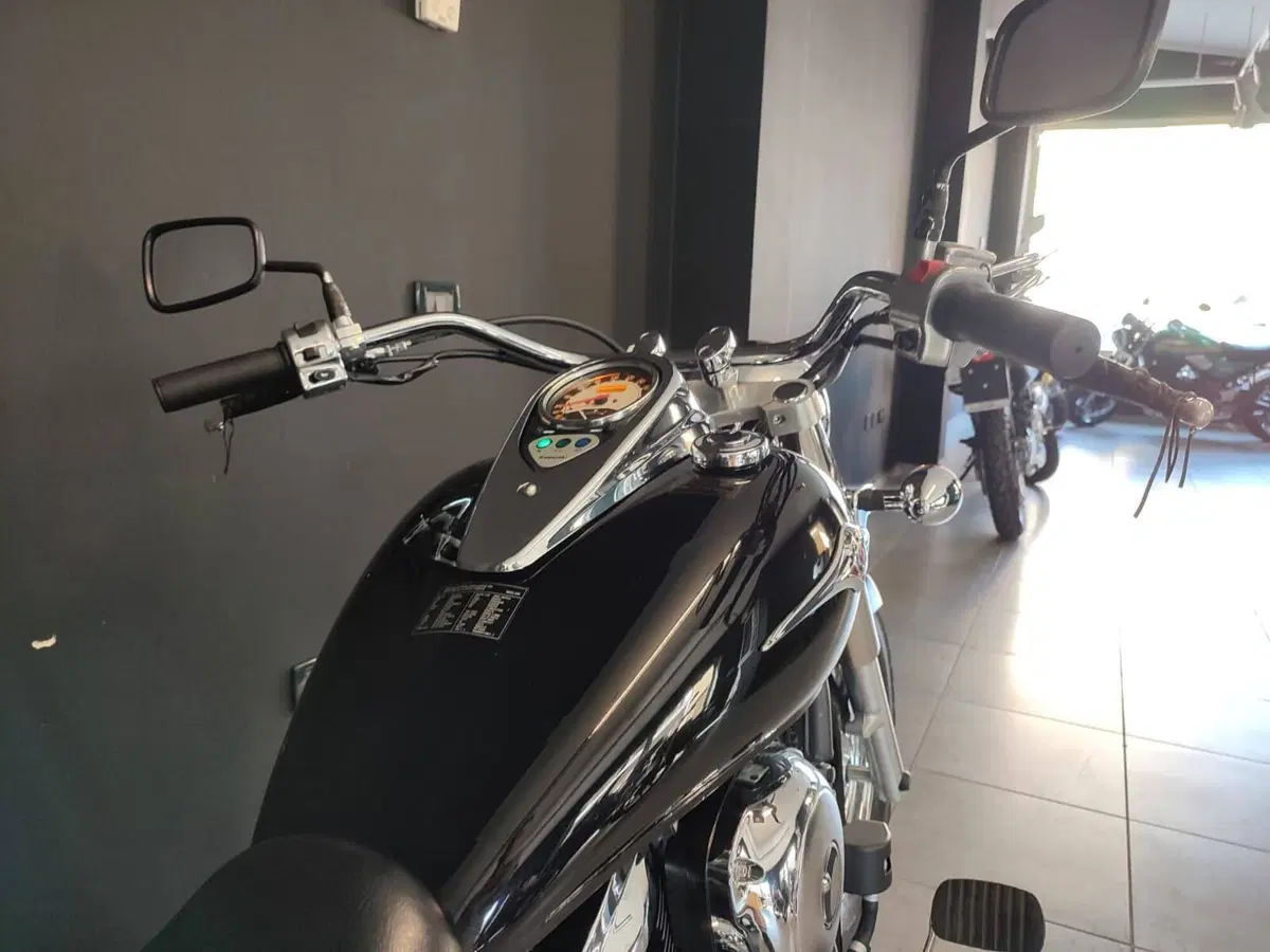Kawasaki Vulcan VN 900 Classic (2006 - 10) (5)