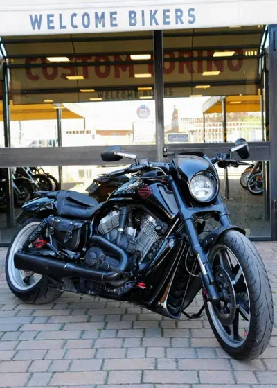 Harley-Davidson 1250 V-Rod Muscle (2009 - 17) - VRSCF usata