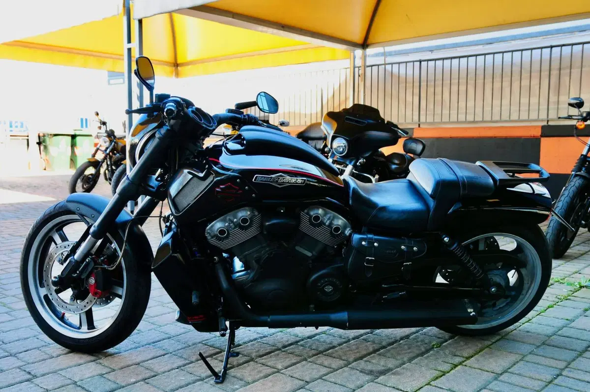 Harley-Davidson 1250 V-Rod Muscle (2009 - 17) - VRSCF (4)