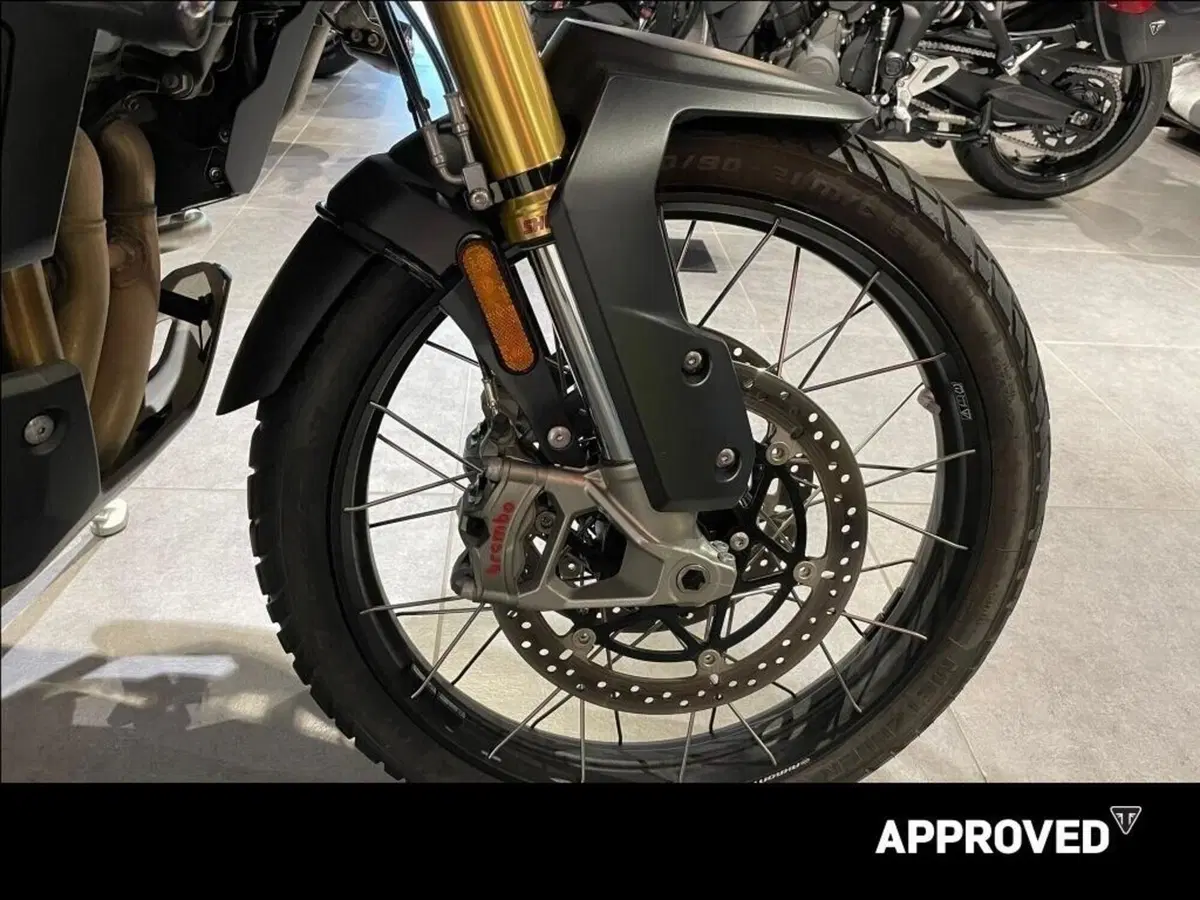 Triumph Tiger 1200 Rally Explorer (2024 - 26) (4)