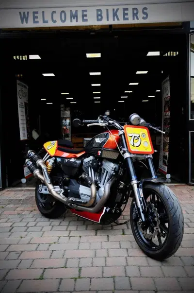 Harley-Davidson 1200 XR (2009 - 12) usata