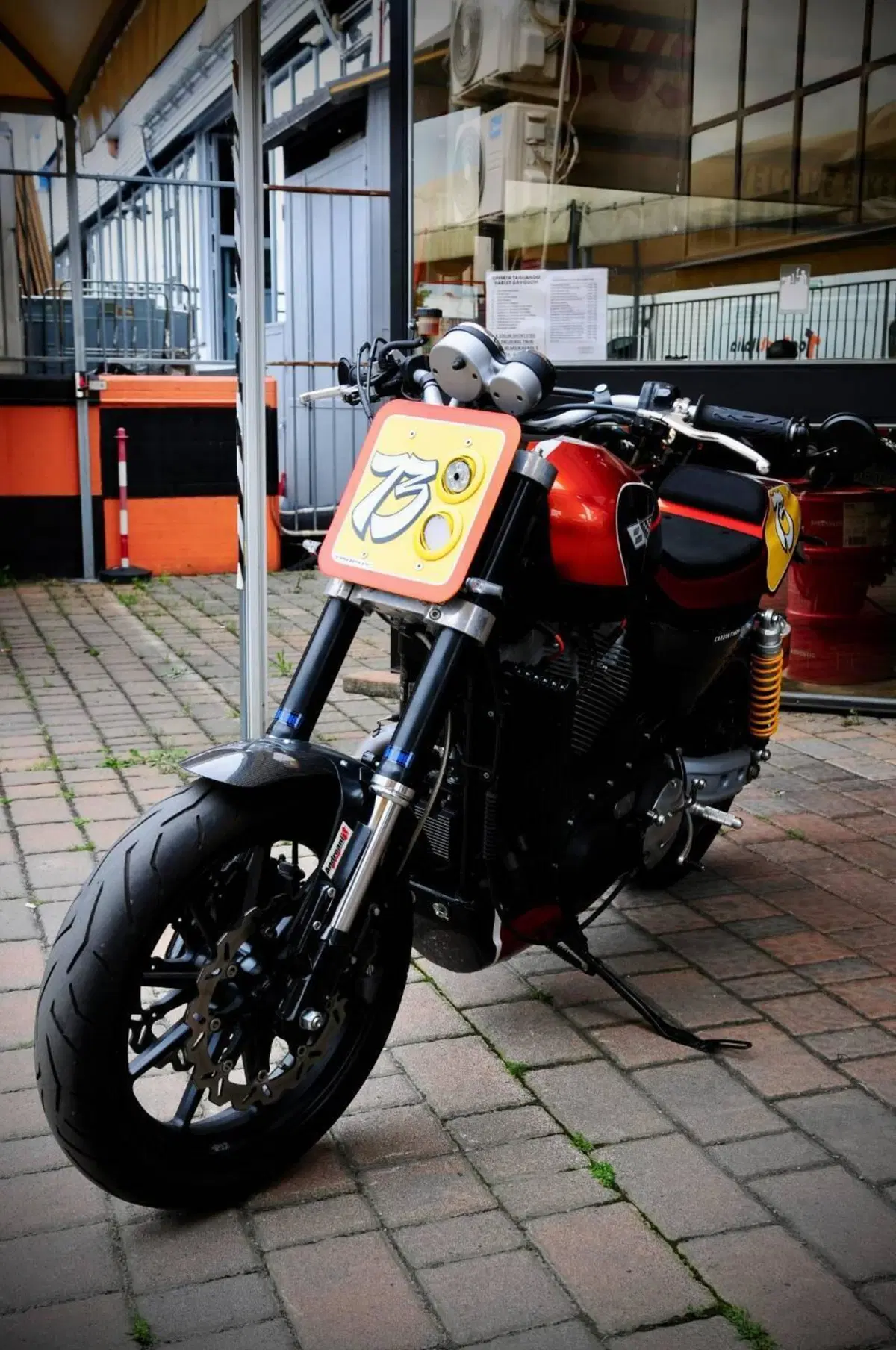 Harley-Davidson 1200 XR (2009 - 12) (5)