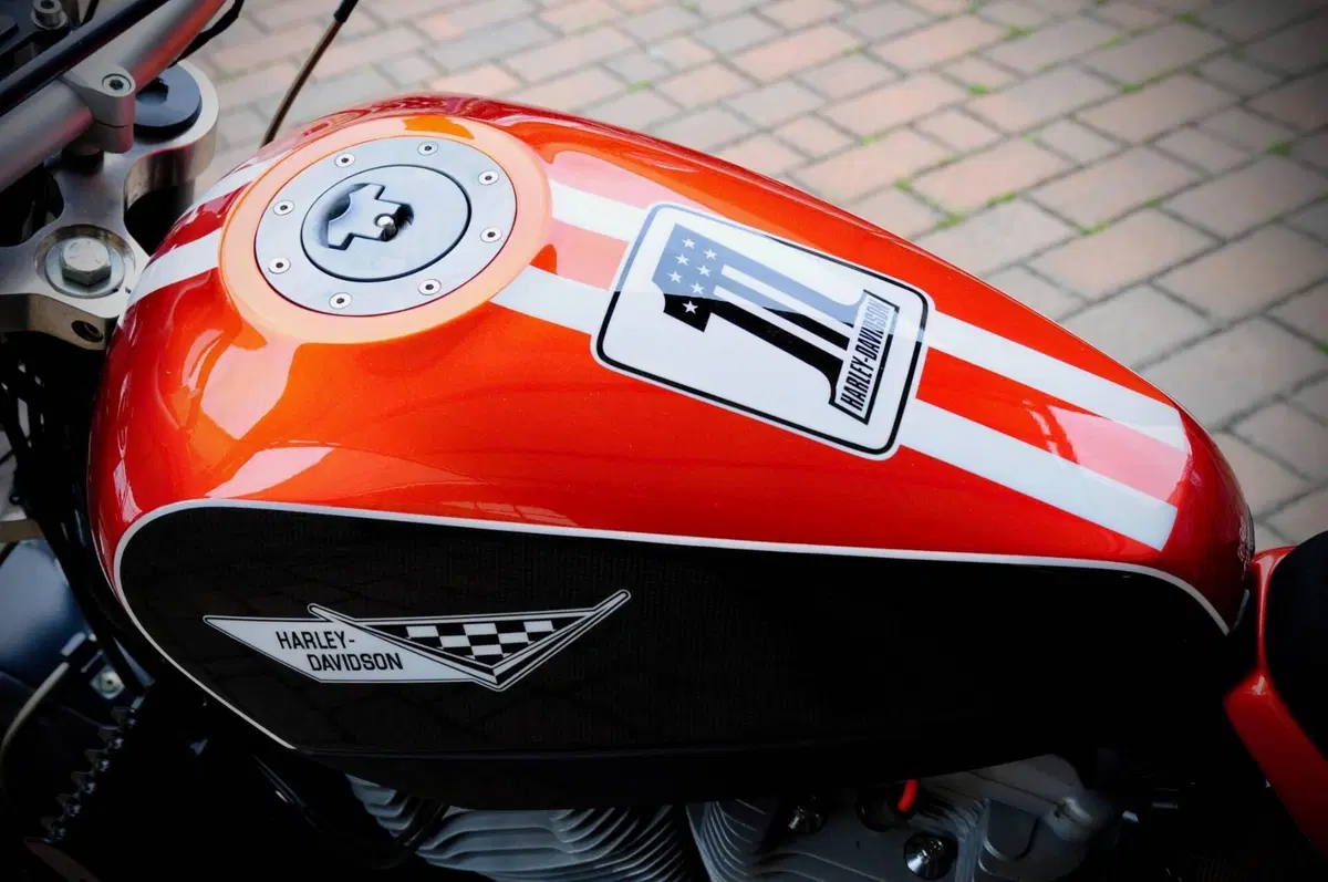 Harley-Davidson 1200 XR (2009 - 12) (12)