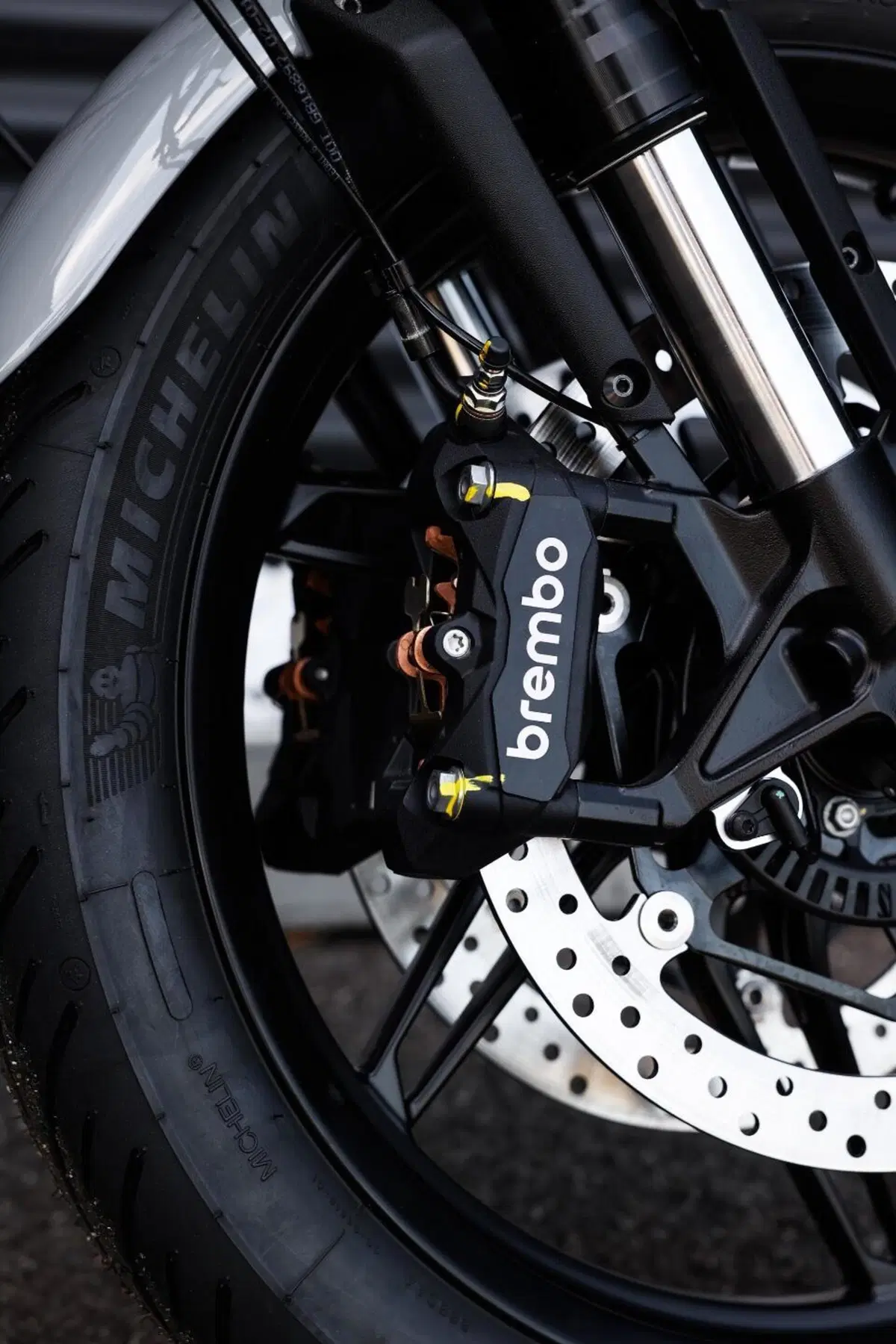 Moto Guzzi V7 Sport (2025 - 26) (7)