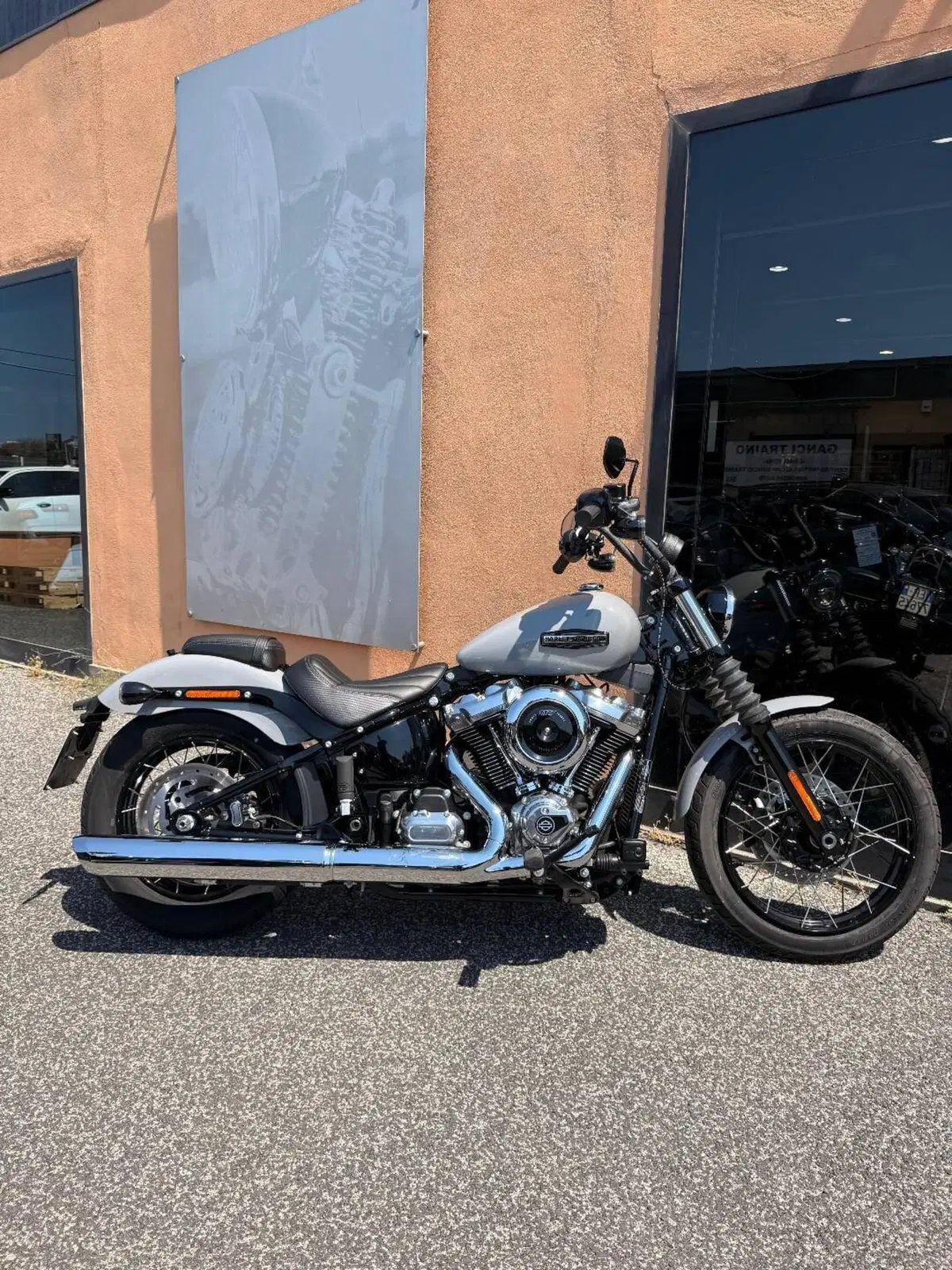 Harley-Davidson Street Bob 117 (2025 - 26)