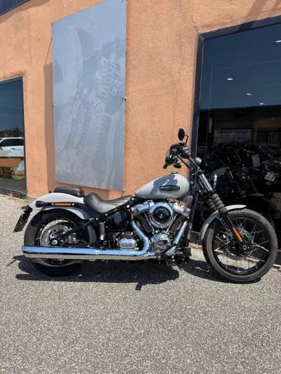 Harley-Davidson Street Bob 117 (2025 - 26) usata