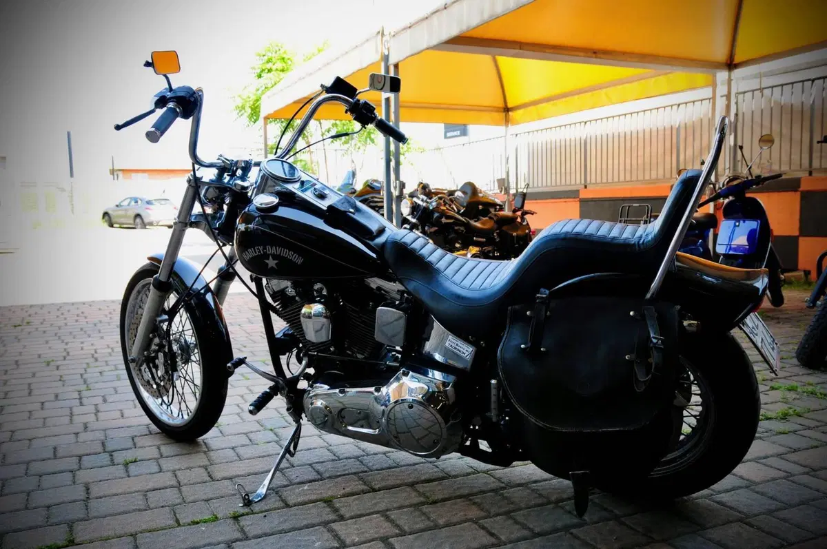 Harley-Davidson 1340 Custom (1989 - 98) (4)