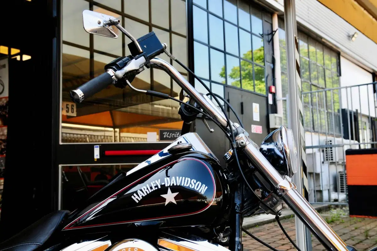 Harley-Davidson 1340 Custom (1989 - 98) (8)