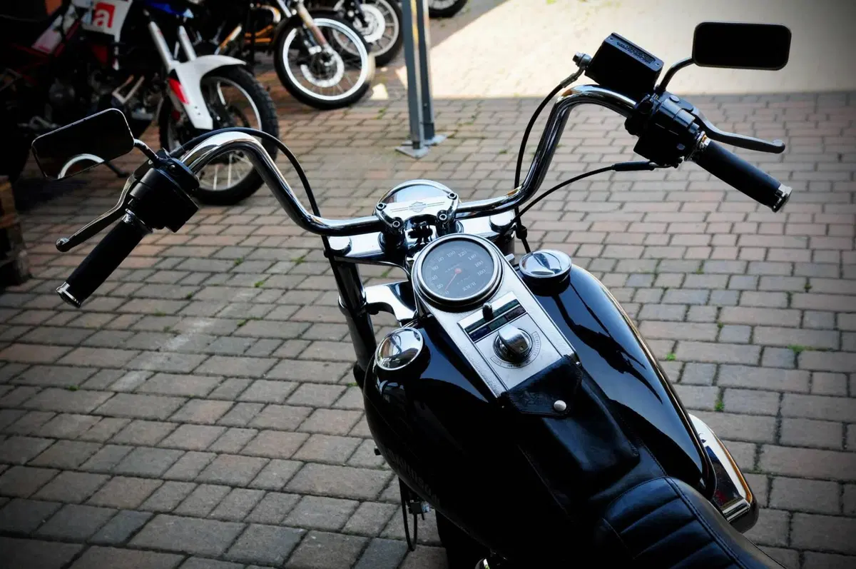 Harley-Davidson 1340 Custom (1989 - 98) (10)
