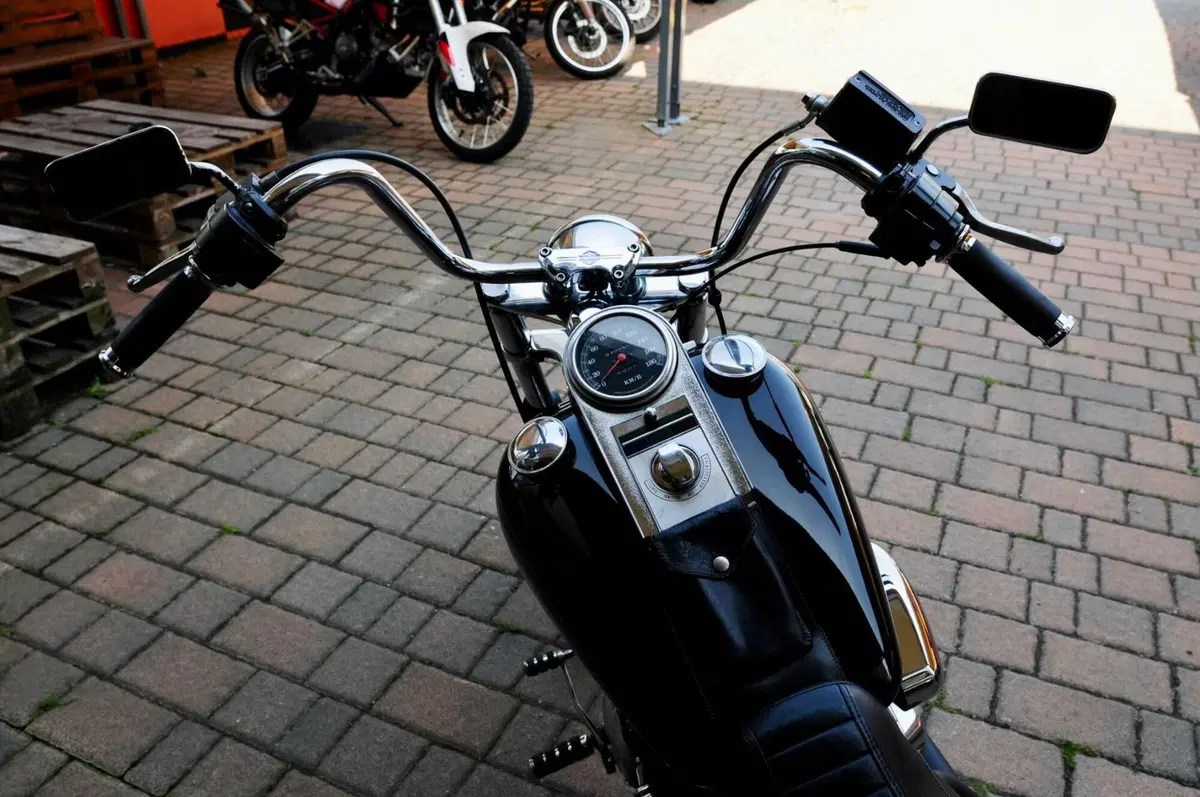 Harley-Davidson 1340 Custom (1989 - 98) (12)