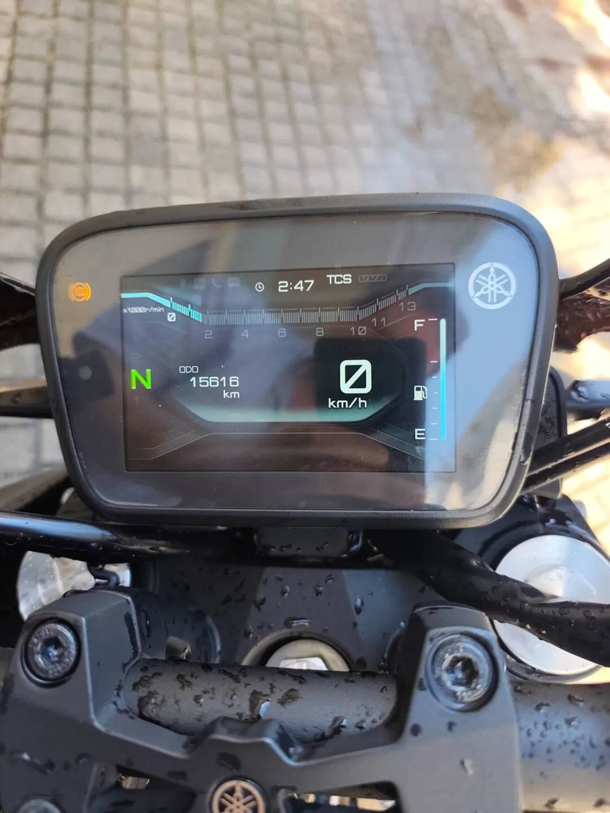 Yamaha MT-125 (2025 - 26) (5)