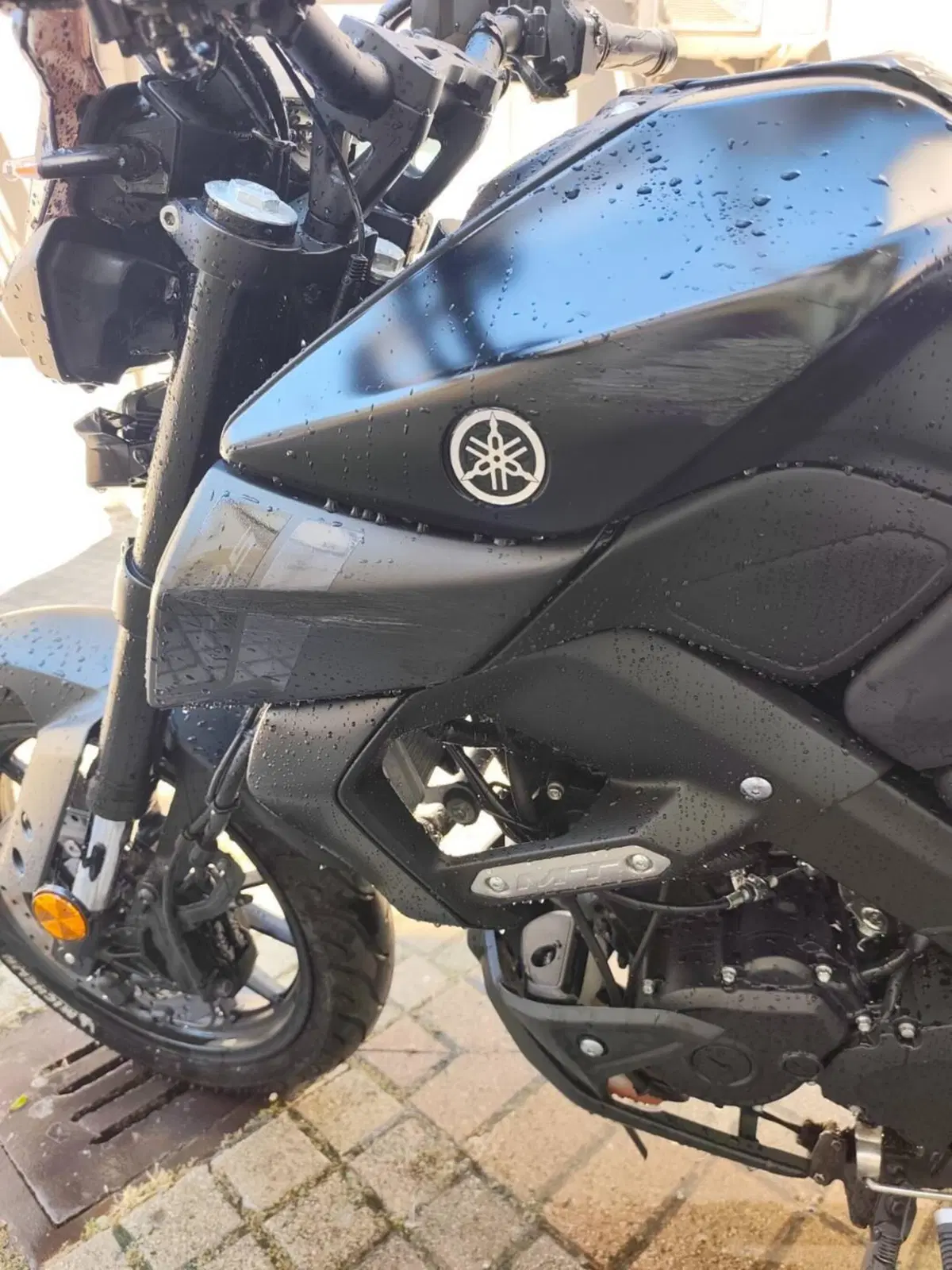 Yamaha MT-125 (2025 - 26) (7)