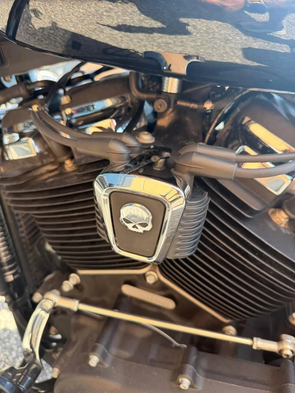 Harley-Davidson Fat Boy 114 (2021 - 24) (10)