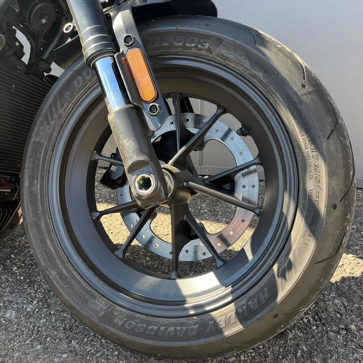 Harley-Davidson Sportster S (2025 - 26) (13)