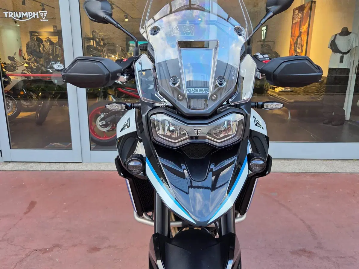 Triumph Tiger 900 Alpine Special Edition (2026) (18)