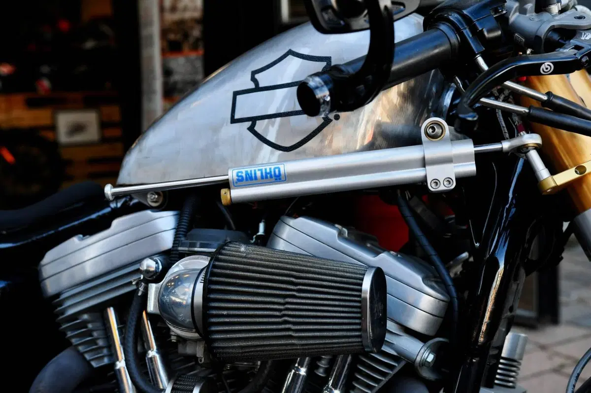 Harley-Davidson 883 Custom (2001 - 05) - XL 53C (11)