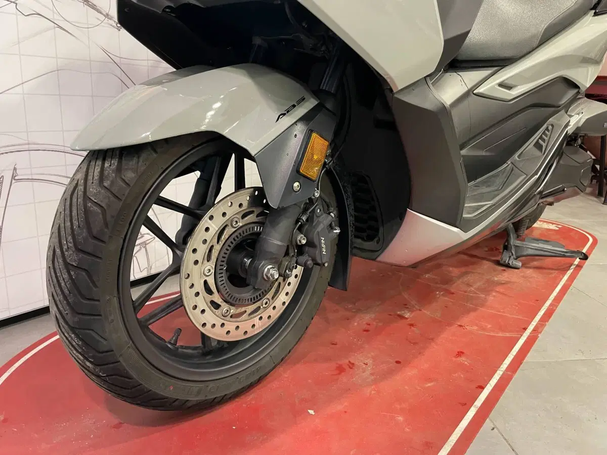 Honda Forza 350 (2022 - 24) (10)