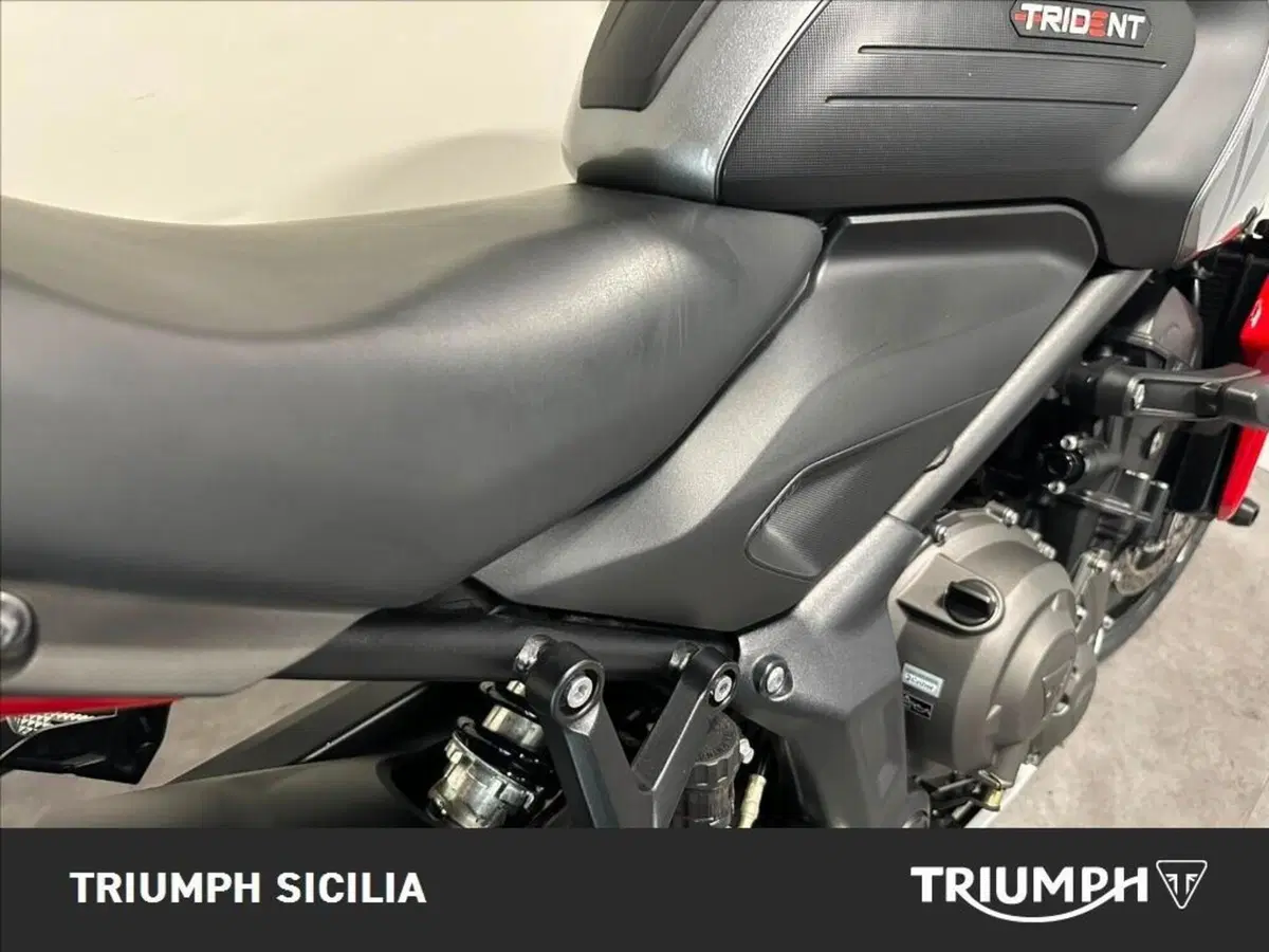 Triumph Trident 660 (2021 - 24) (8)