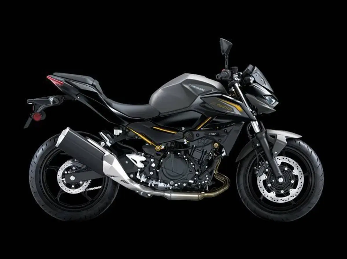 Kawasaki Z 500 (2024 - 26)