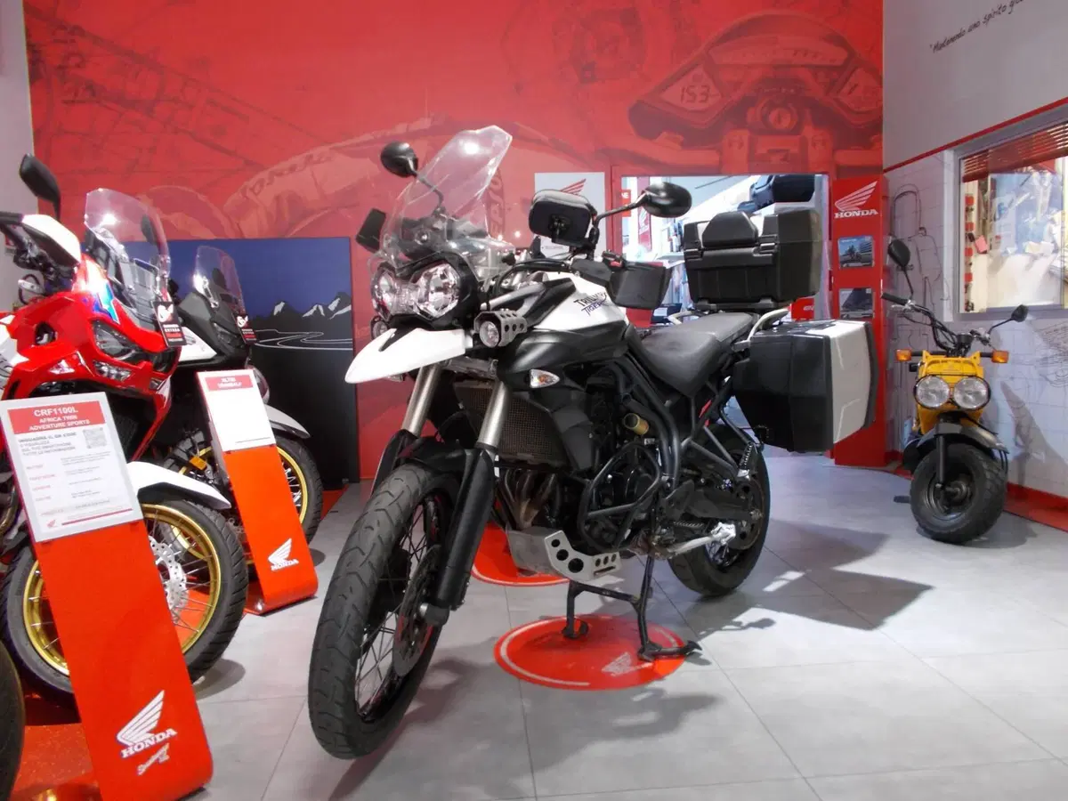 Triumph Tiger 800 XC (2011 - 12) (3)