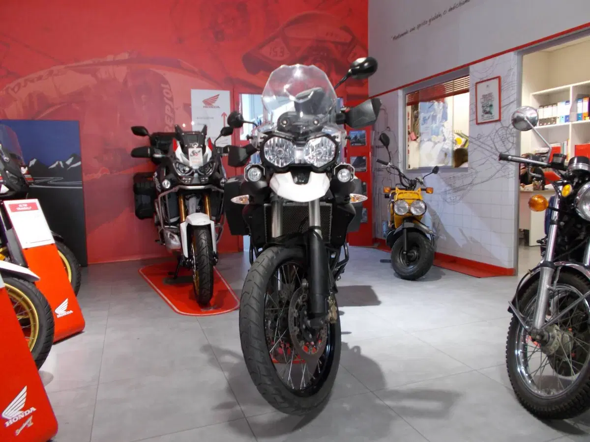 Triumph Tiger 800 XC (2011 - 12) (5)