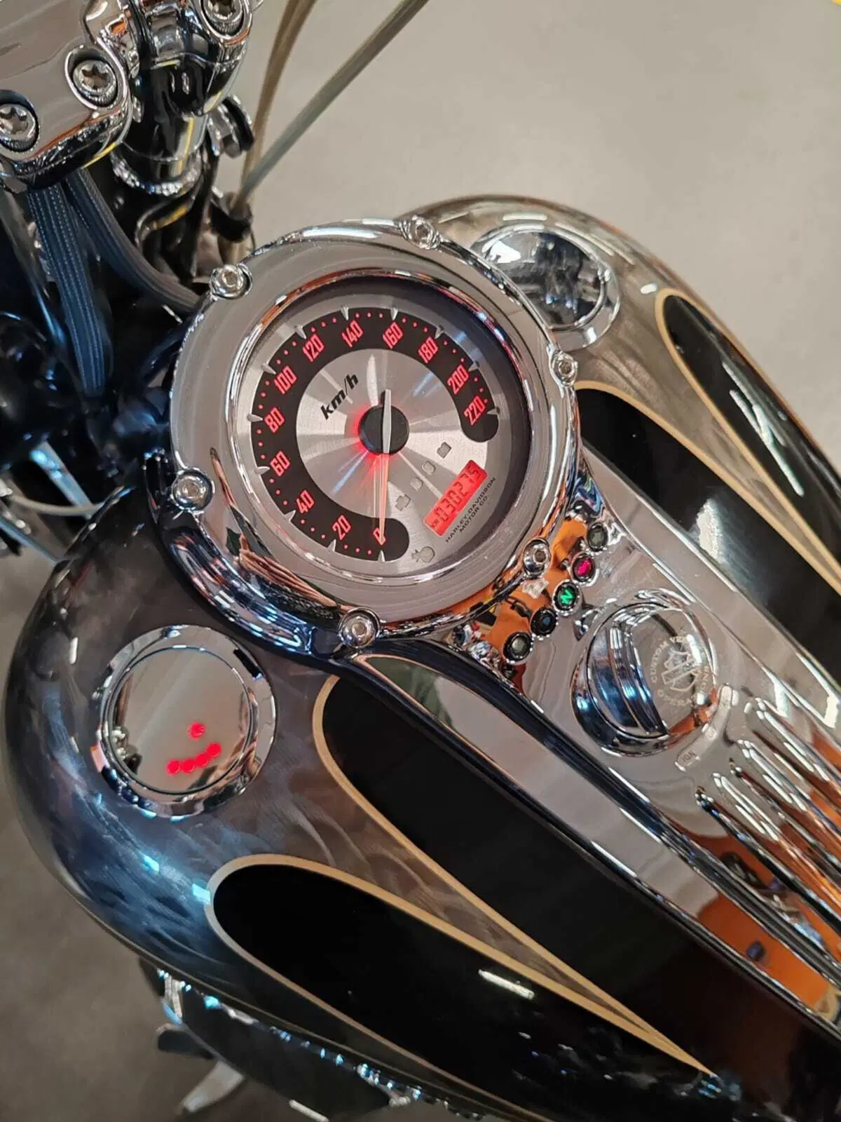 Harley-Davidson 1800 Springer (2009 - 12) - FXSTSSE (5)