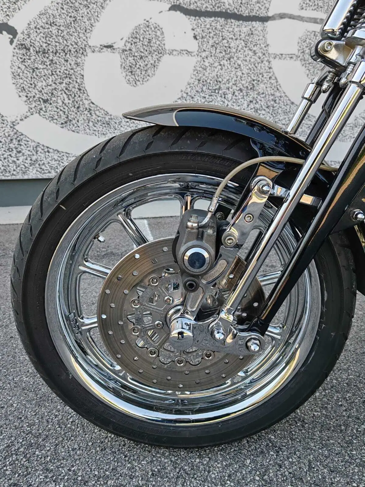 Harley-Davidson 1800 Springer (2009 - 12) - FXSTSSE (6)