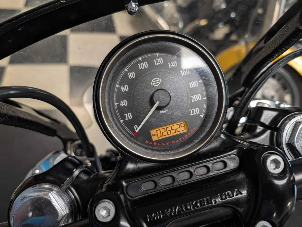 Harley-Davidson 1200 Forty-Eight (2016 - 20) (7)