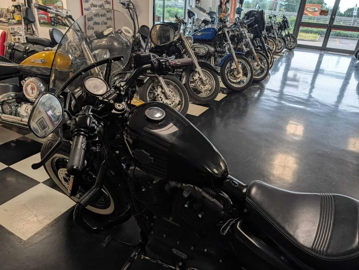 Harley-Davidson 1200 Forty-Eight (2016 - 20) (8)