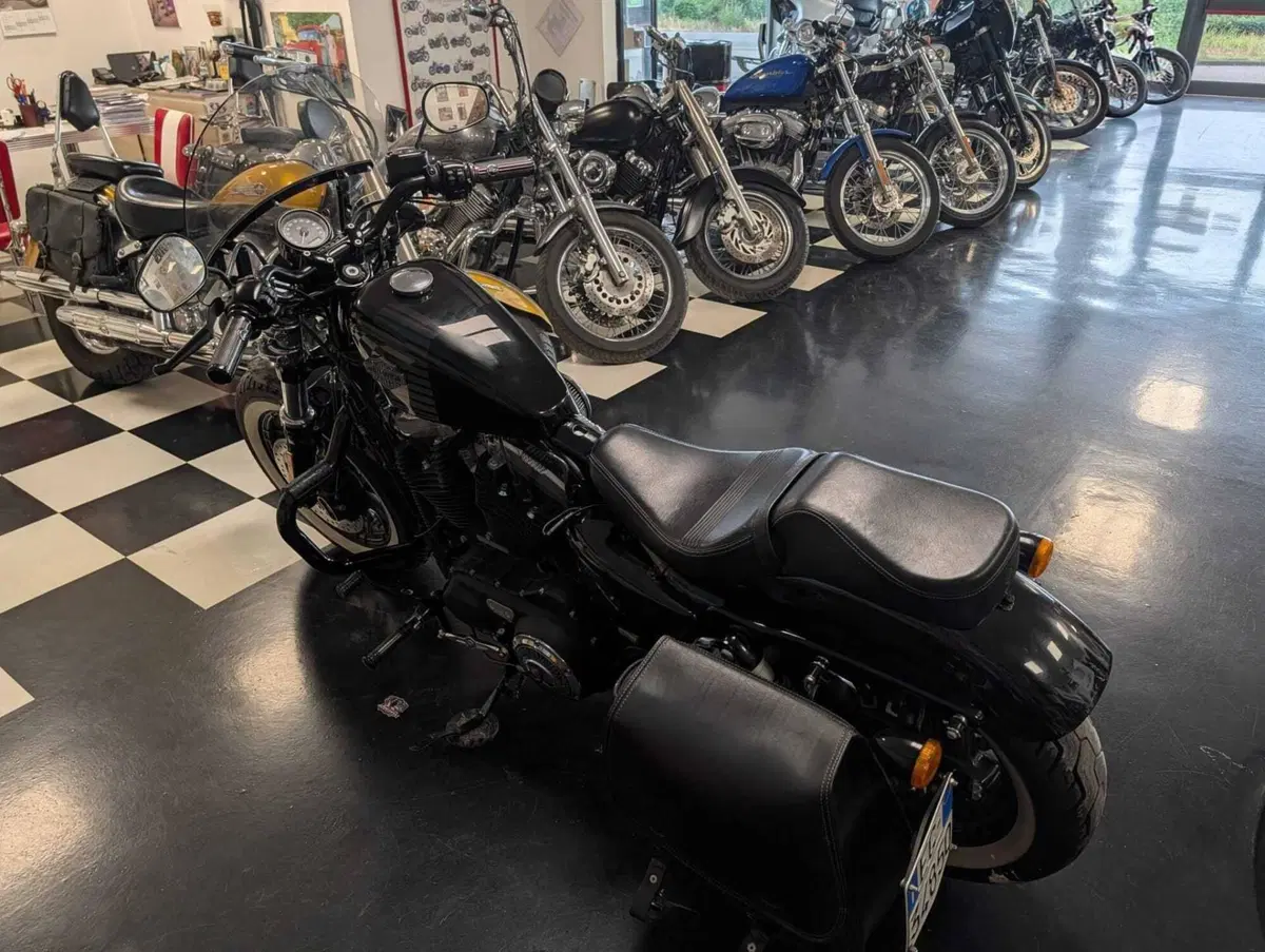 Harley-Davidson 1200 Forty-Eight (2016 - 20) (9)