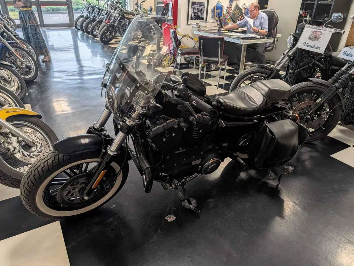 Harley-Davidson 1200 Forty-Eight (2016 - 20) (10)