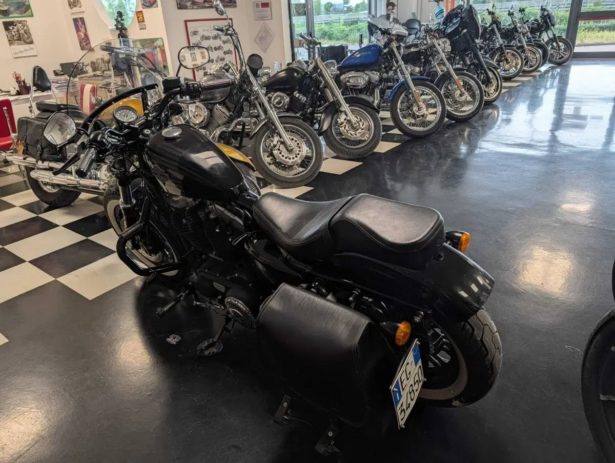 Harley-Davidson 1200 Forty-Eight (2016 - 20) (11)