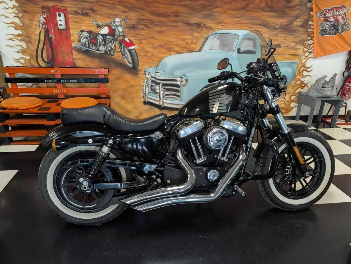 Harley-Davidson 1200 Forty-Eight (2016 - 20) (4)