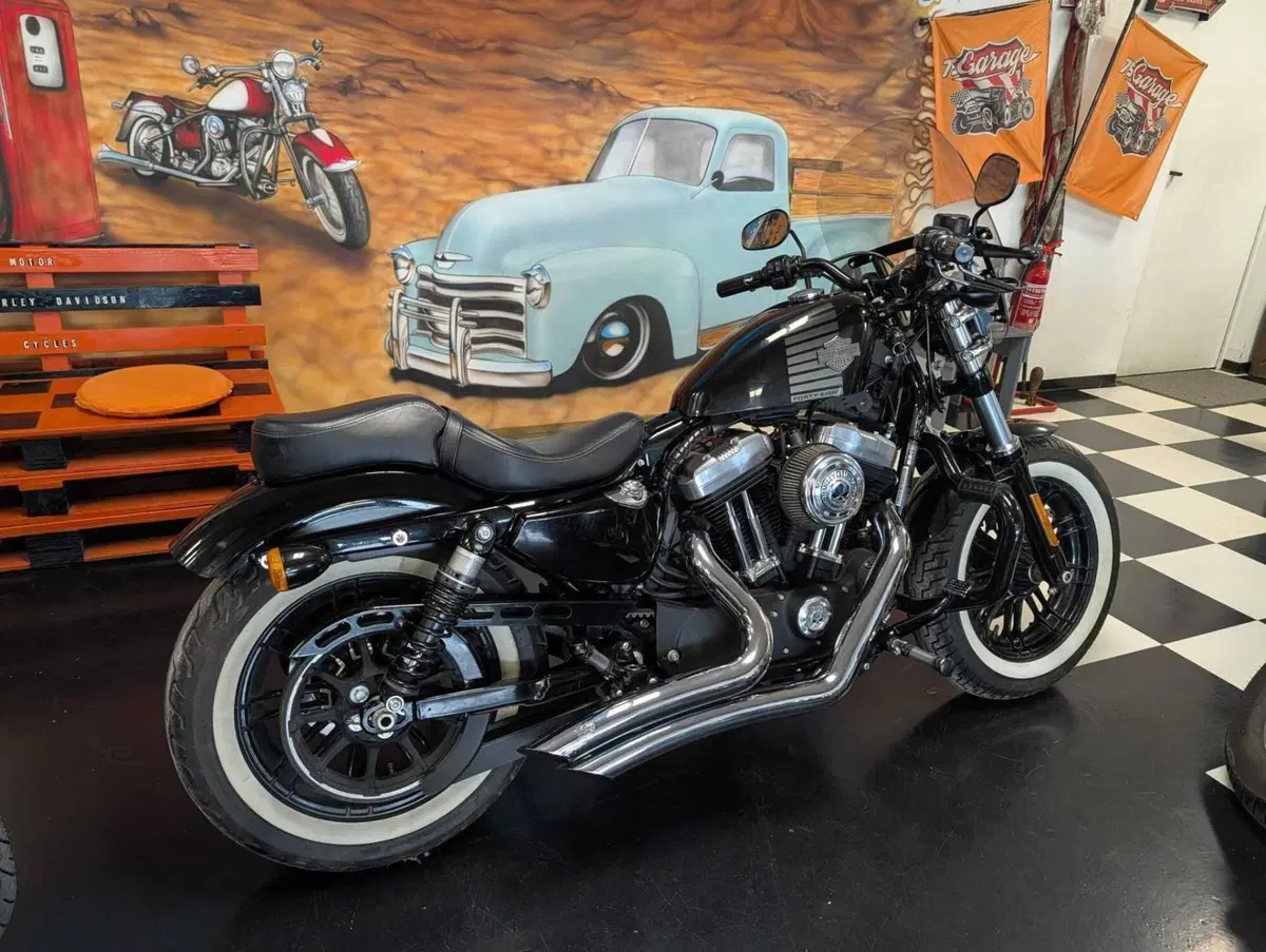 Harley-Davidson 1200 Forty-Eight (2016 - 20) (2)