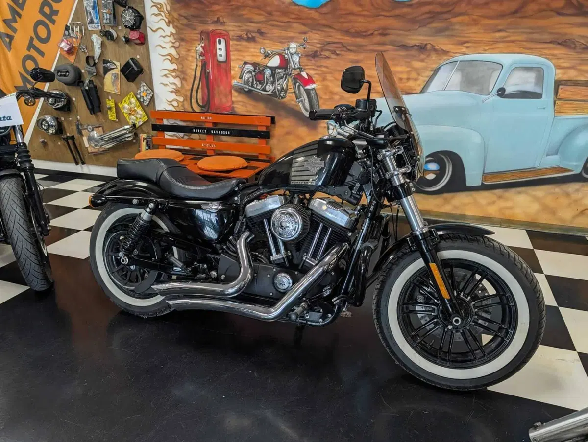 Harley-Davidson 1200 Forty-Eight (2016 - 20) (3)