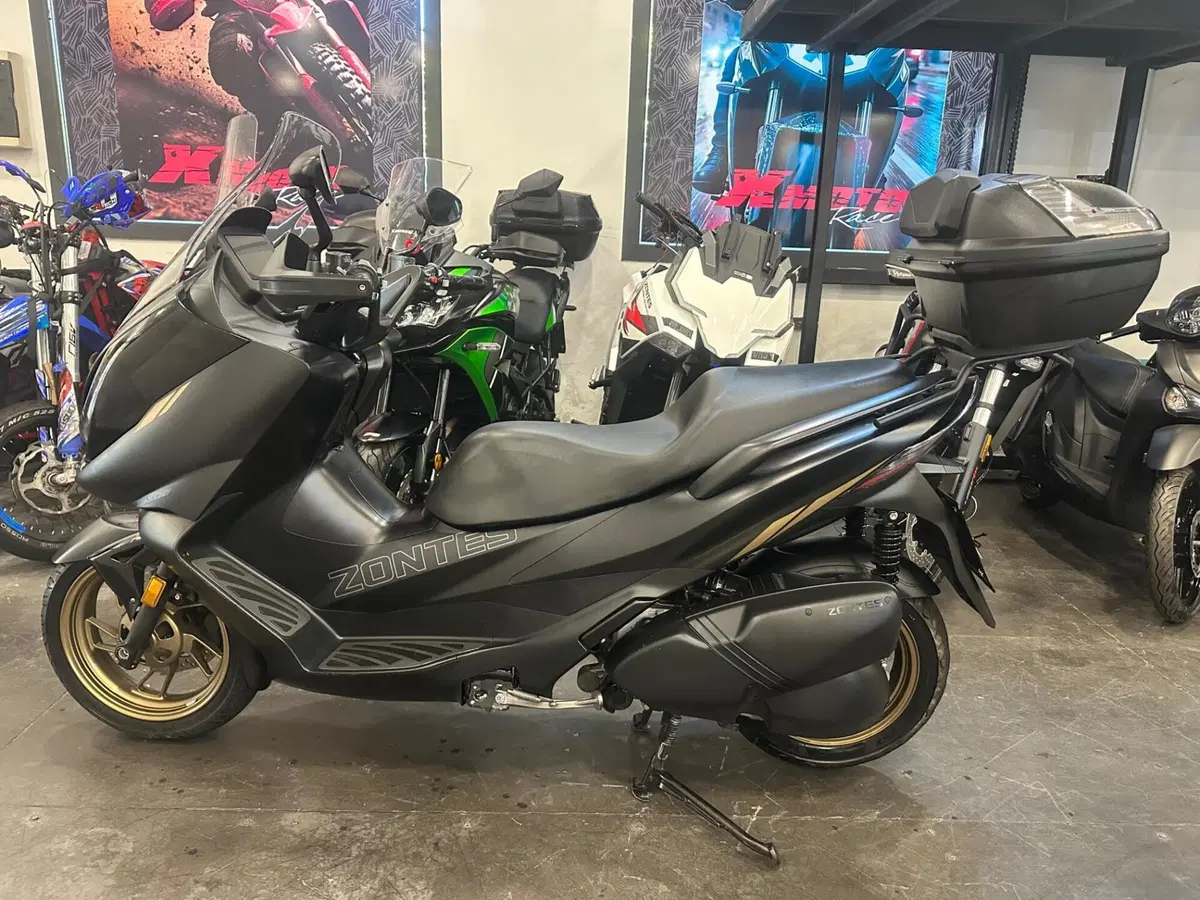 Zontes ZT350-E (2023 - 25) (2)