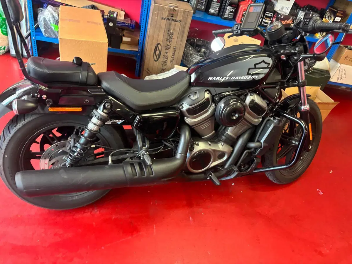 Harley-Davidson Nightster (2023 - 26)