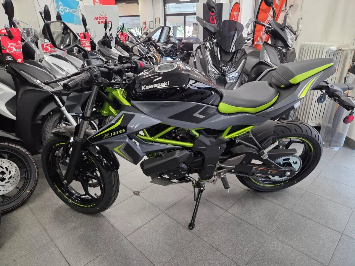 Kawasaki Z 125 (2025 - 26) (2)