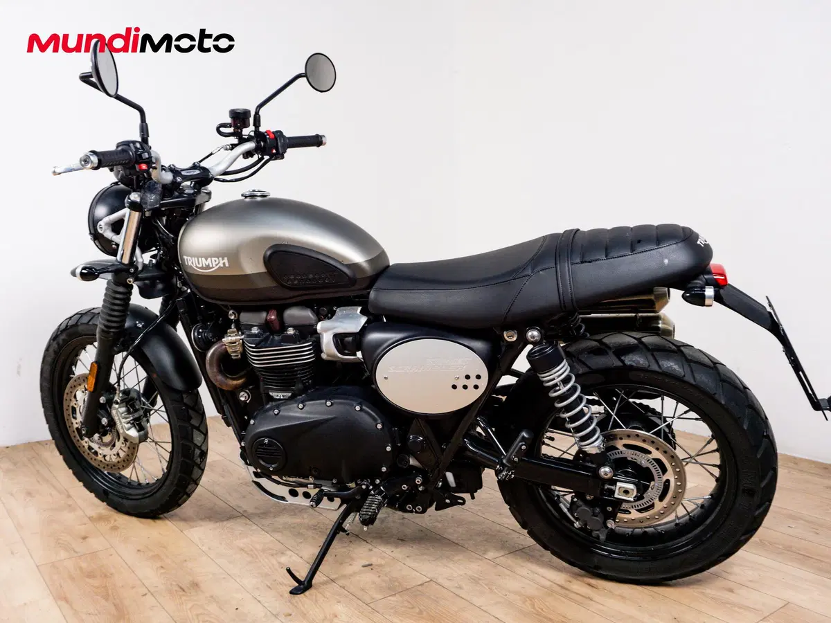 Triumph Street Scrambler 900 Sandstorm (2021 - 22) (6)