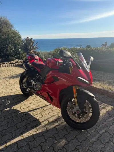 Ducati Panigale V2 S (2025 - 26) usata