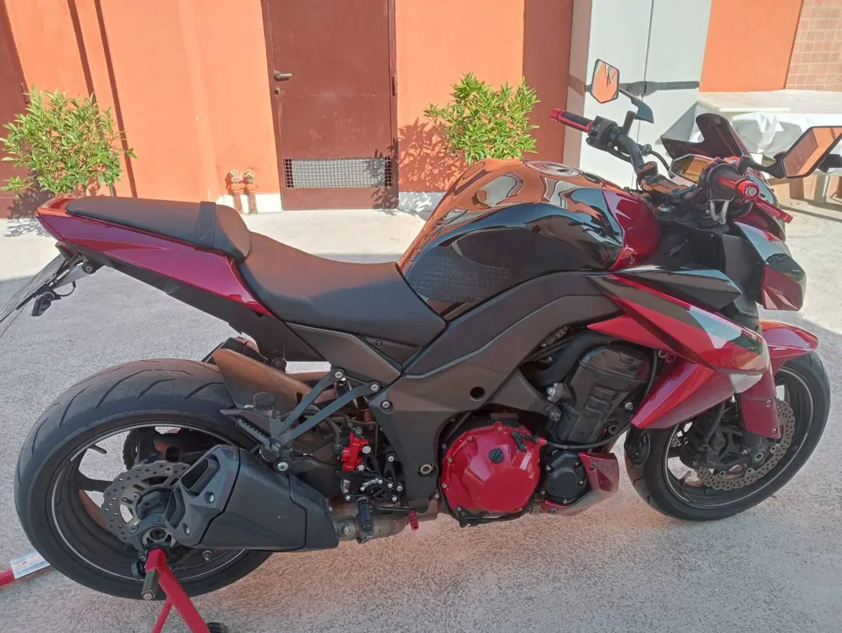 Kawasaki Z 1000 (2010 - 13) (4)