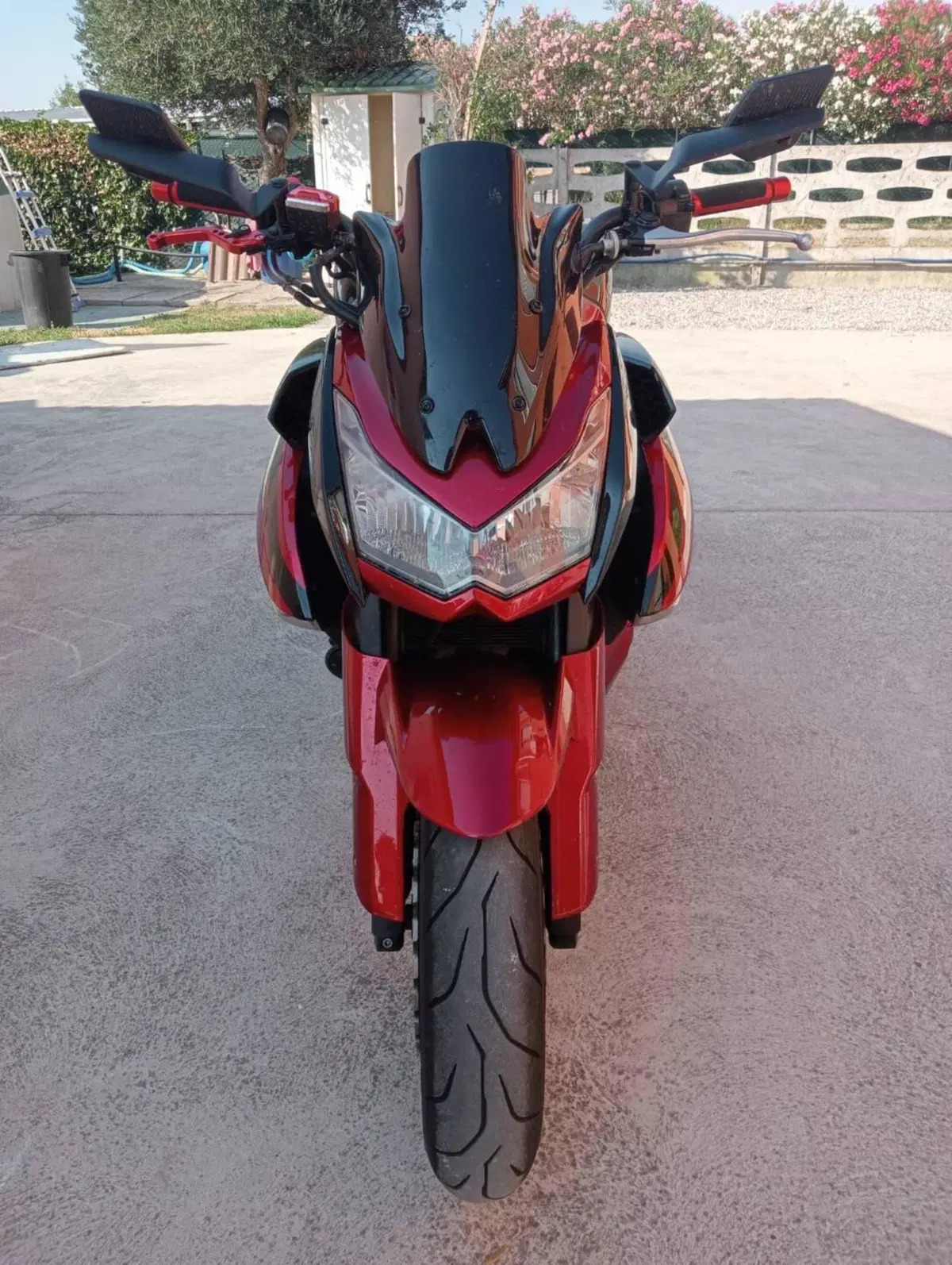 Kawasaki Z 1000 (2010 - 13) (6)