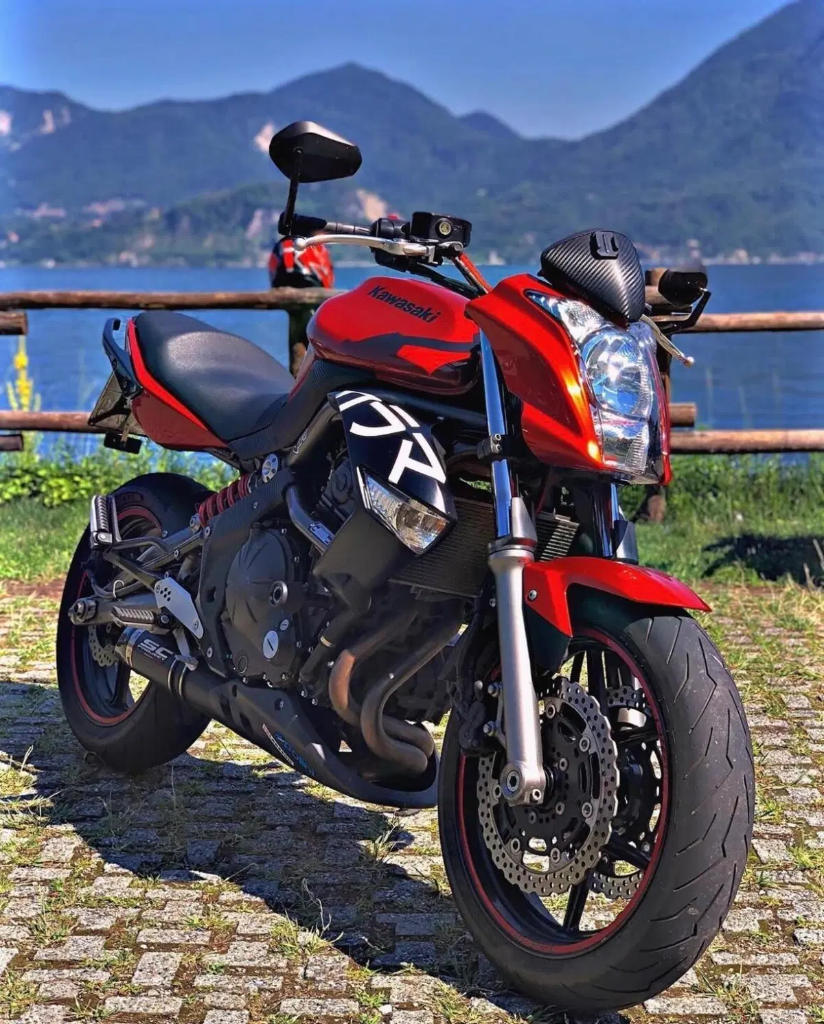 Kawasaki ER-6N (2009 - 11) (13)