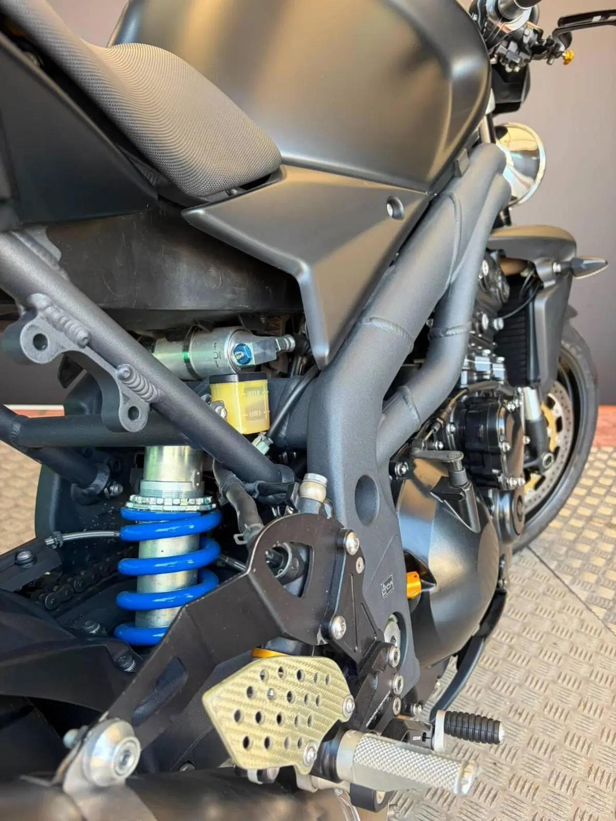 Triumph Speed Triple 1050 (2005 - 11) (6)