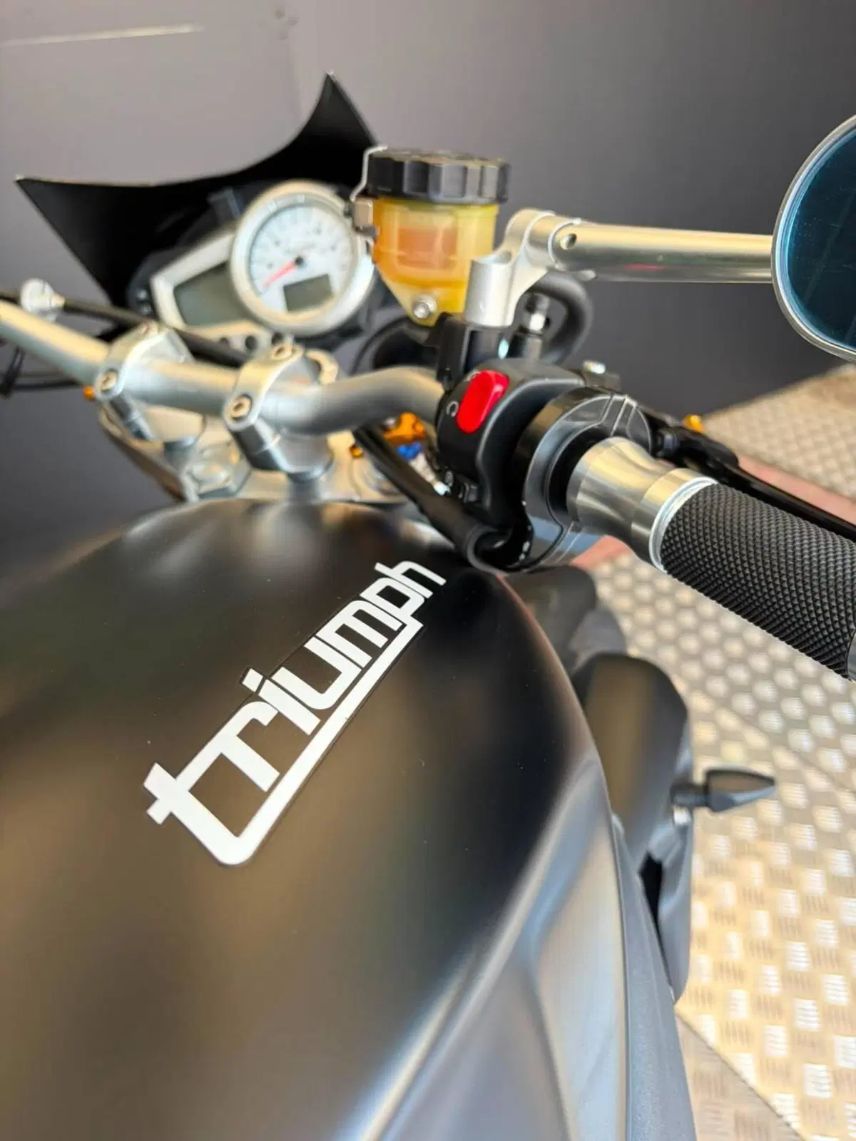 Triumph Speed Triple 1050 (2005 - 11) (13)