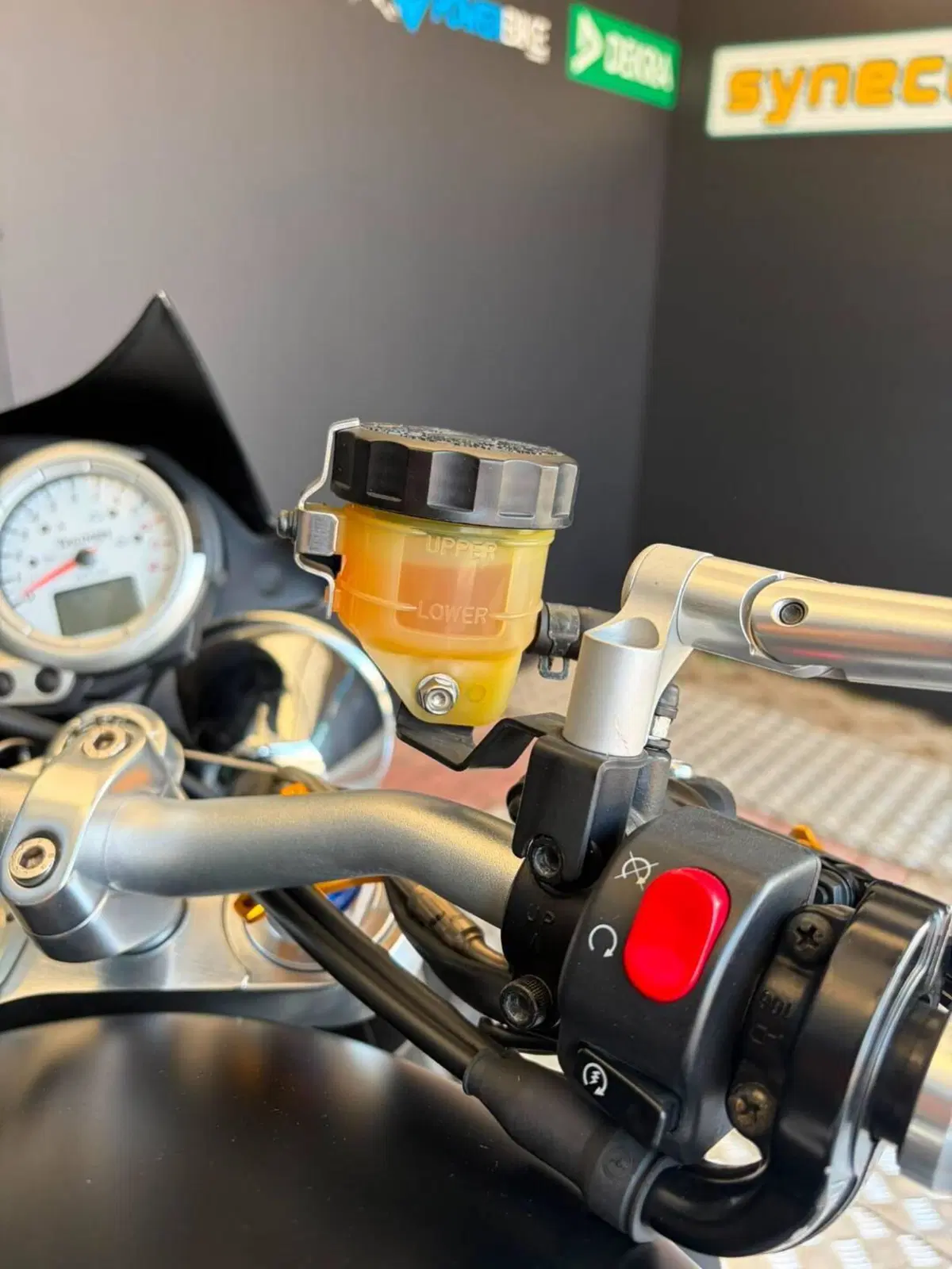 Triumph Speed Triple 1050 (2005 - 11) (14)