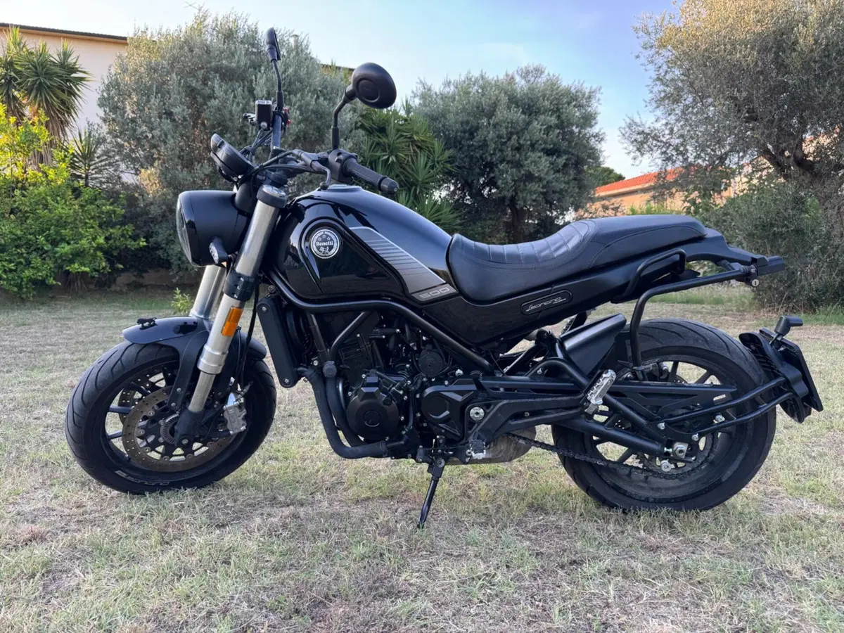 Benelli Leoncino 500 (2021 - 25) (5)
