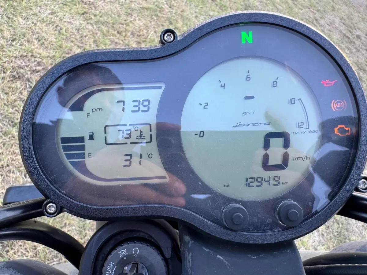 Benelli Leoncino 500 (2021 - 25) (6)