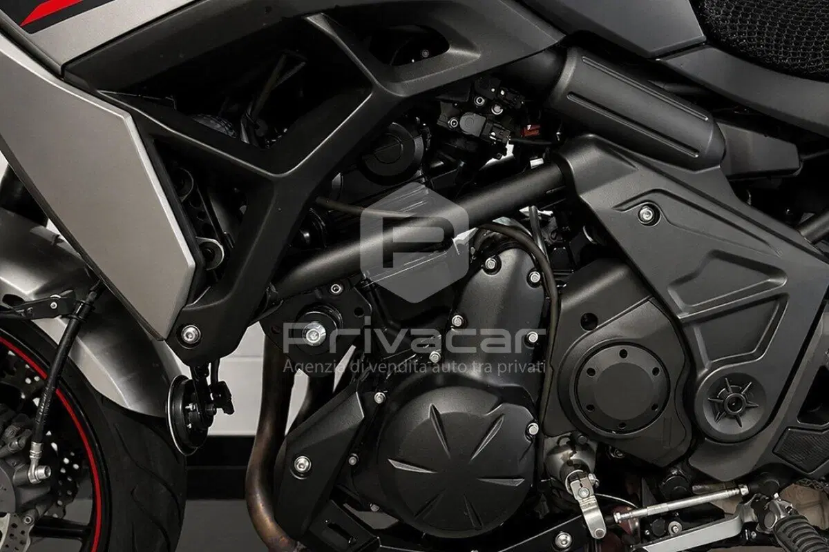 Kawasaki Versys 650 (2021 - 24) (11)